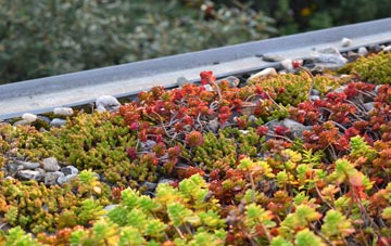 the cost of Hen Bentref Llandegfan green roof installation