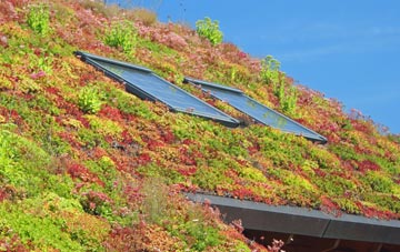 Hen Bentref Llandegfan living roof systems
