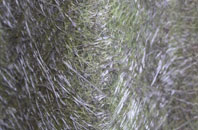 Hen Bentref Llandegfan fibreglass roof work